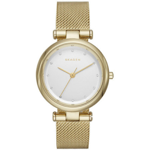 Часы Skagen SKW2486 Часы Skagen SKW2486