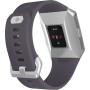 Смарт-часы Fitbit Ionic Silver Gray/Blue Gray One Size (FB503WTGY) Смарт-часы Fitbit Ionic Silver Gray/Blue Gray One Size (FB503WTGY)