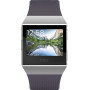 Смарт-часы Fitbit Ionic Silver Gray/Blue Gray One Size (FB503WTGY) Смарт-часы Fitbit Ionic Silver Gray/Blue Gray One Size (FB503WTGY)