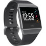 Смарт-часы Fitbit Ionic Charcoal/Smoke Gray One Size FB503GYBK Смарт-часы Fitbit Ionic Charcoal/Smoke Gray One Size FB503GYBK