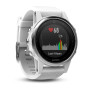 Смарт-часы Garmin fenix 5S Sil&Carrara (010-01685-00)