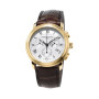 Часы Frederique Constant FC-292MC4P5