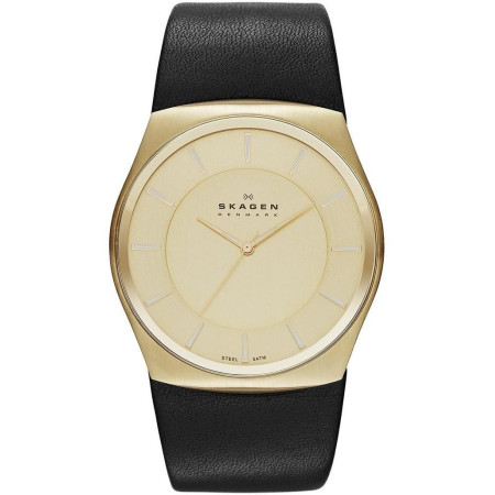 Часы Skagen SKW6018