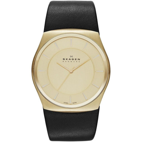 Часы Skagen SKW6018 Часы Skagen SKW6018