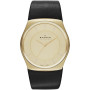 Часы Skagen SKW6018 Часы Skagen SKW6018