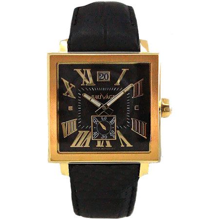 Часы Sauvage SA-SK78232G