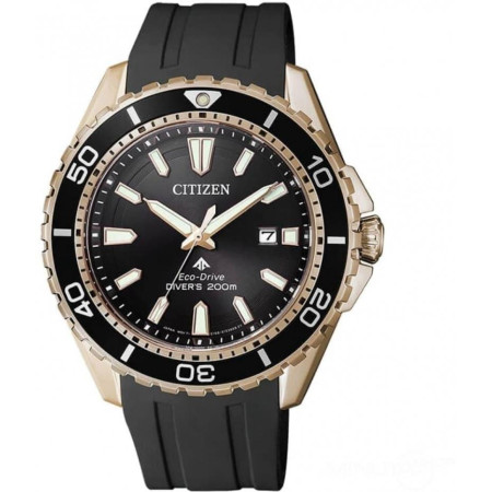 Часы Citizen BN0193-17E