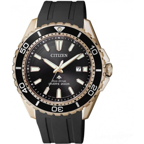 Часы Citizen BN0193-17E