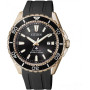 Часы Citizen BN0193-17E