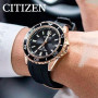 Часы Citizen BN0193-17E