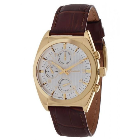 Часы Guardo S0749 G WBr