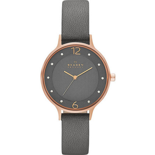 Часы Skagen SKW2267 Часы Skagen SKW2267