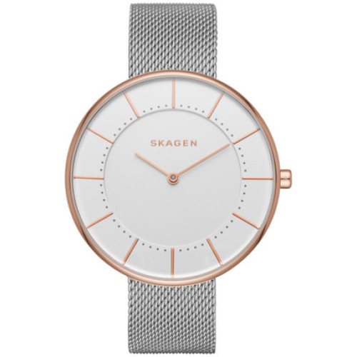 Часы Skagen SKW2583 Часы Skagen SKW2583