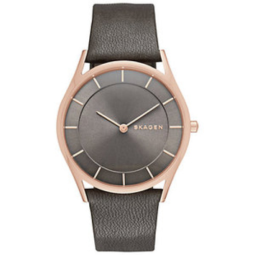 Часы Skagen SKW2346 Часы Skagen SKW2346