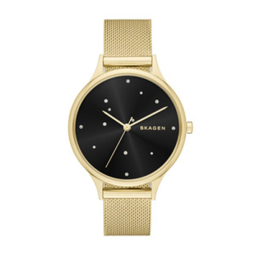 Часы Skagen SKW2385 Часы Skagen SKW2385