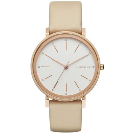 Часы Skagen SKW2489