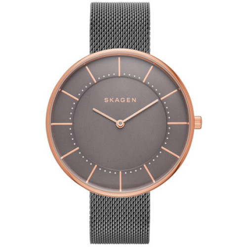 Часы Skagen SKW2584 Часы Skagen SKW2584