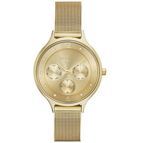Часы Skagen SKW2313 Часы Skagen SKW2313