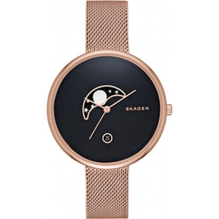 Часы Skagen SKW2371