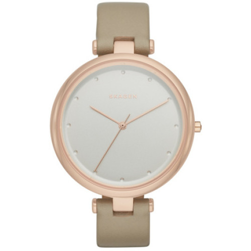 Часы Skagen SKW2484 Часы Skagen SKW2484