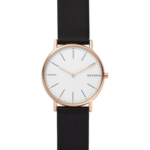 Часы Skagen SKW6430 Часы Skagen SKW6430