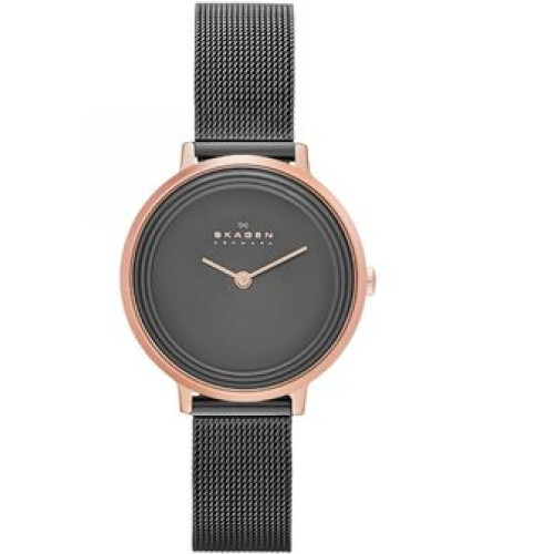 Часы Skagen SKW2277 Часы Skagen SKW2277
