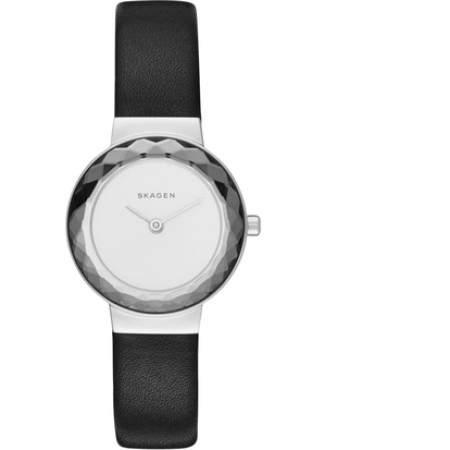 Часы Skagen SKW2428
