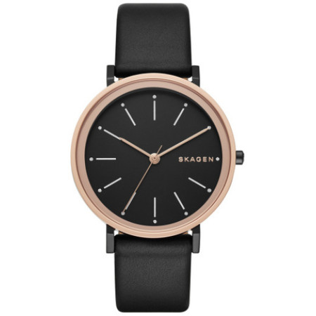 Часы Skagen SKW2490