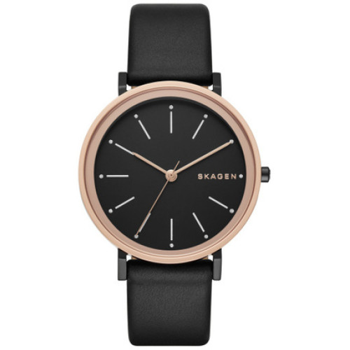 Часы Skagen SKW2490 Часы Skagen SKW2490