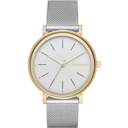 Часы Skagen SKW2508