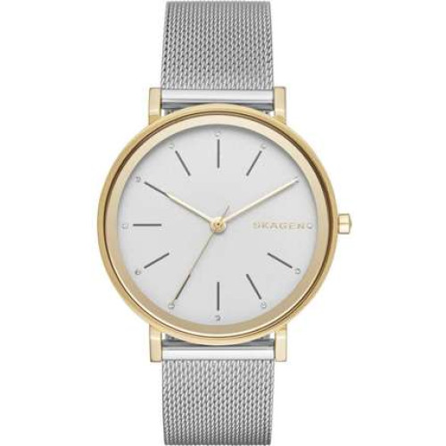 Часы Skagen SKW2508 Часы Skagen SKW2508