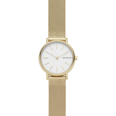 Часы Skagen SKW2693