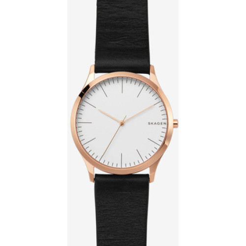 Часы Skagen SKW1102 Часы Skagen SKW1102