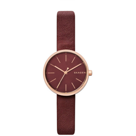 Часы Skagen SKW2646