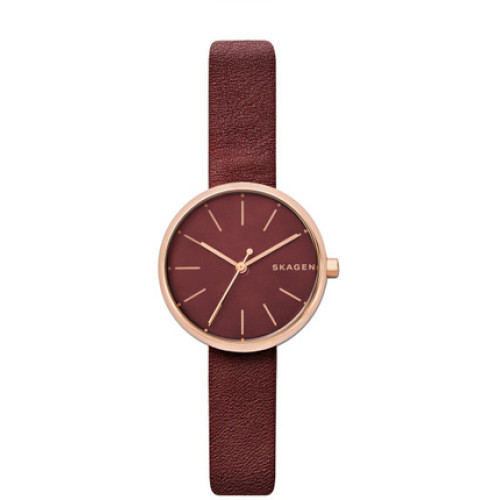 Часы Skagen SKW2646 Часы Skagen SKW2646