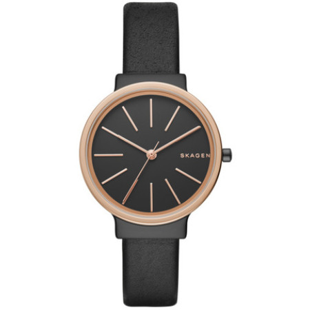 Часы Skagen SKW2480