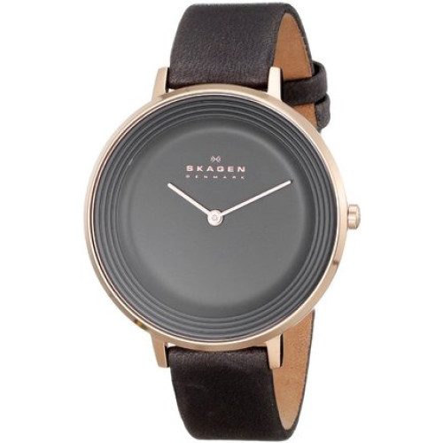 Часы Skagen SKW2216 Часы Skagen SKW2216