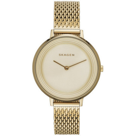 Часы Skagen SKW2333