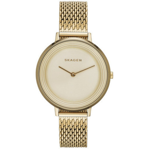 Часы Skagen SKW2333 Часы Skagen SKW2333