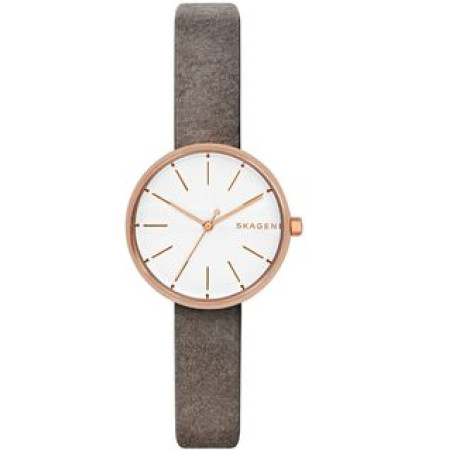 Часы Skagen SKW2644