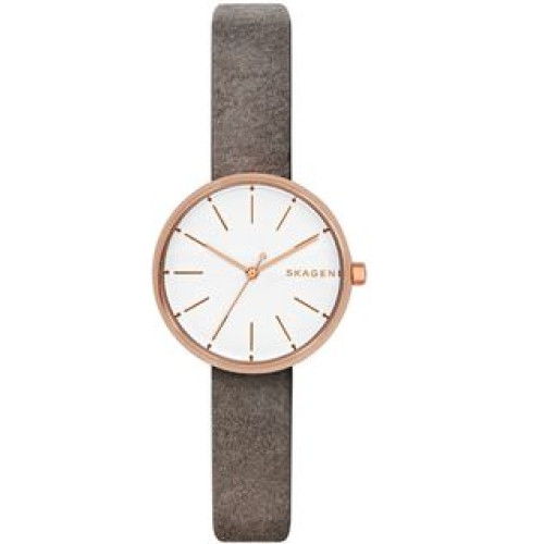 Часы Skagen SKW2644