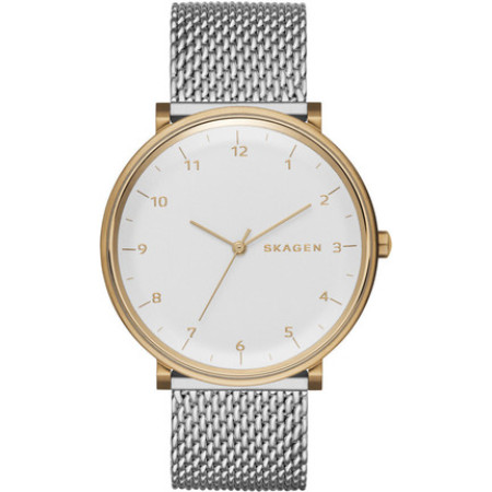 Часы Skagen SKW6170