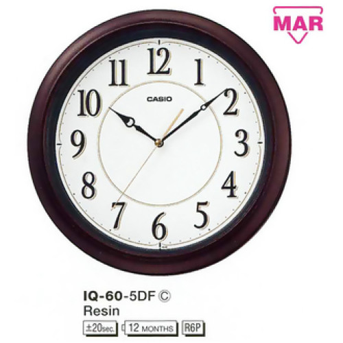 Часы Casio IQ-60-5DF (A)