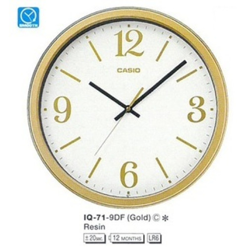 Часы Casio IQ-71-9D (A)
