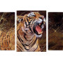 Настенные часы Art-Life Collection 1C-167-3p-W Настенные часы Art-Life Collection 1C-167-3p-W