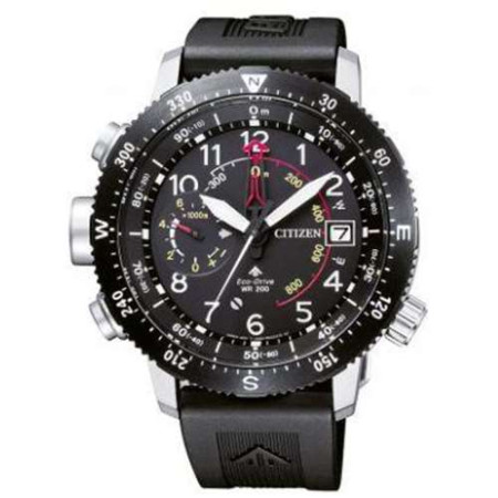 Часы Citizen BN4044-15E