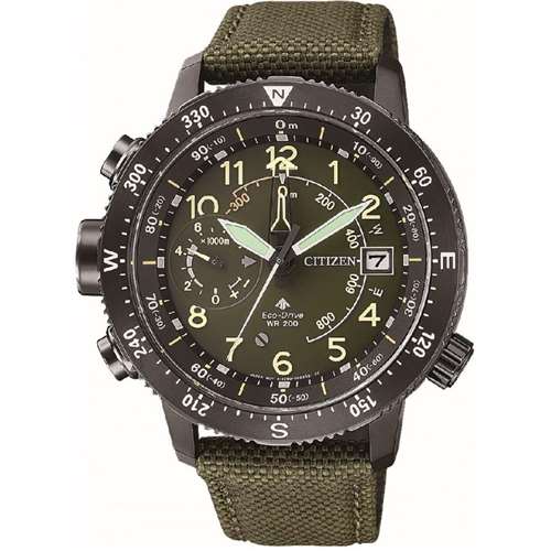 Часы Citizen BN4045-12X