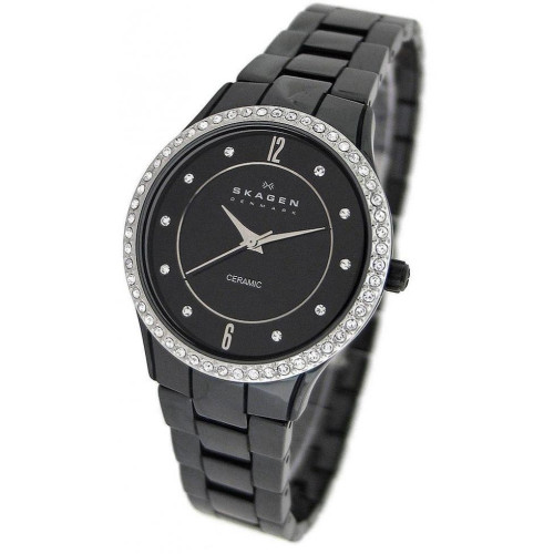 Часы Skagen 347SBXBC Часы Skagen 347SBXBC