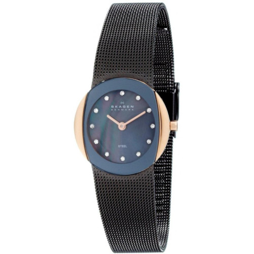 Часы Skagen 589SRM Часы Skagen 589SRM