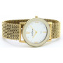 Часы Skagen 39LGG1 Часы Skagen 39LGG1